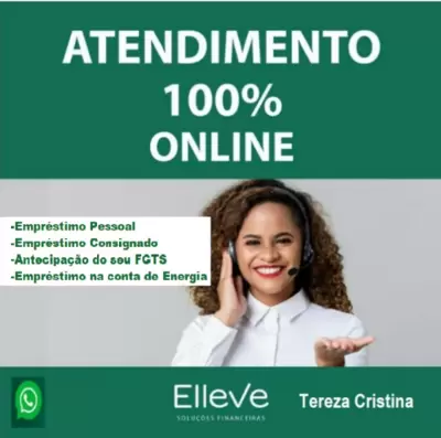 Elleve Soluções Financeiras